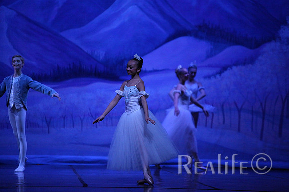 Sno2_4199