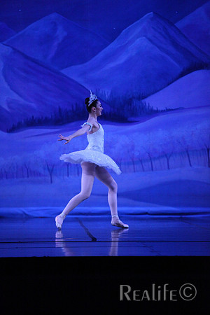 Sno2_4206