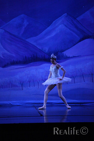 Sno2_4209