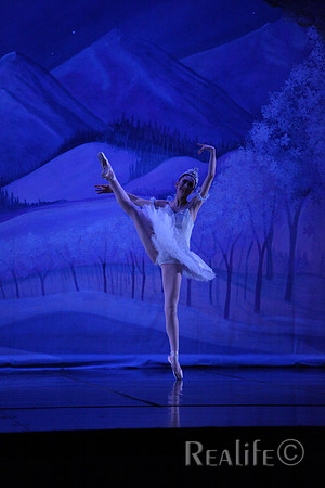 Sno2_4208