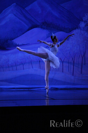 Sno2_4207