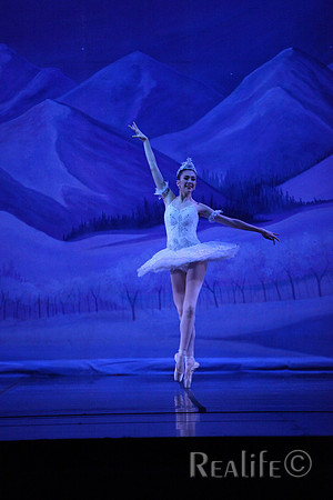 Sno2_4210