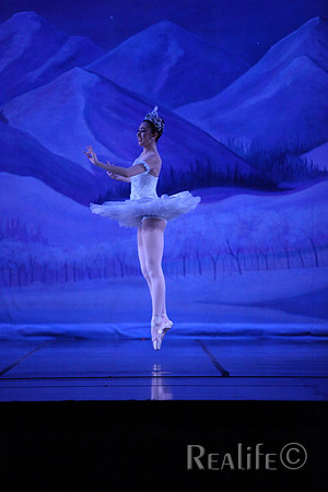Sno2_4205