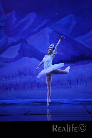 Sno2_4211