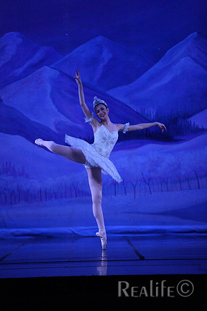 Sno2_4212