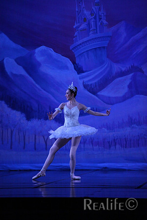Sno2_4213