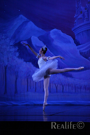 Sno2_4214