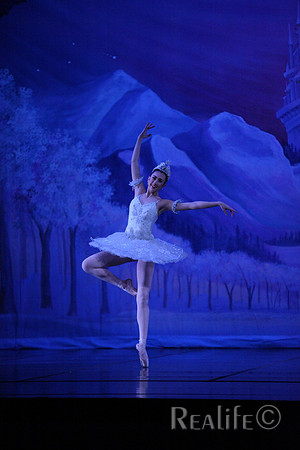 Sno2_4216