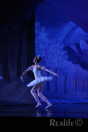 Sno2_4217