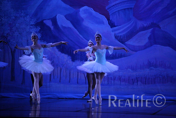 Sno2_4218