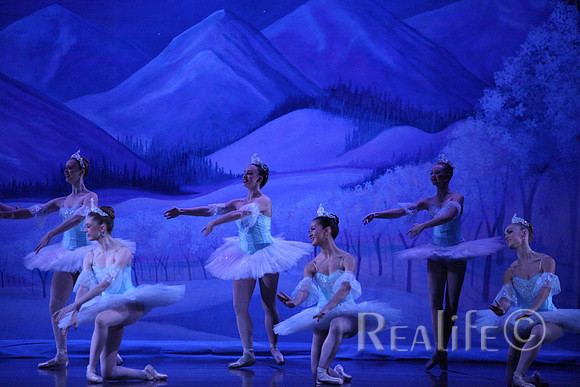 Sno2_4219