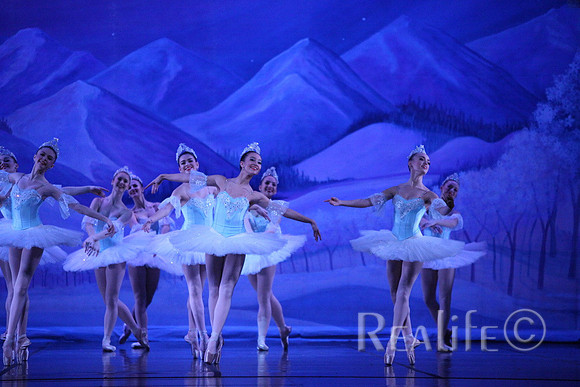 Sno2_4222