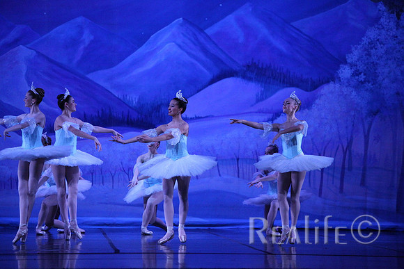 Sno2_4221