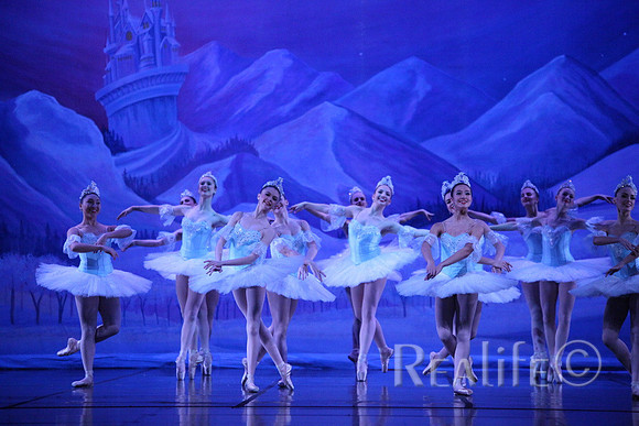 Sno2_4224