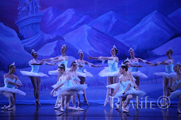 Sno2_4223