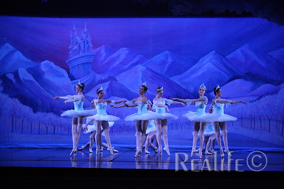 Sno2_4225