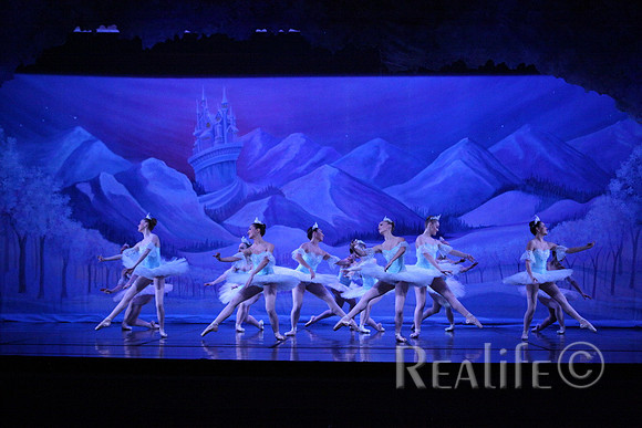 Sno2_4228