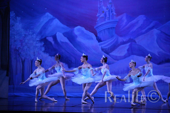 Sno2_4229
