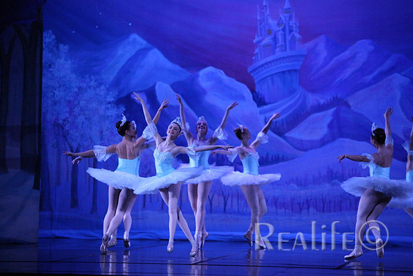 Sno2_4231