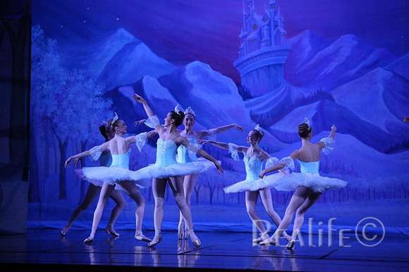 Sno2_4230