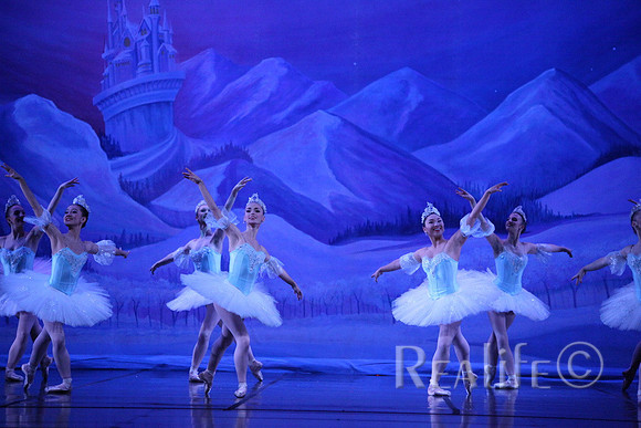 Sno2_4233
