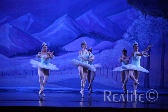 Sno2_4236