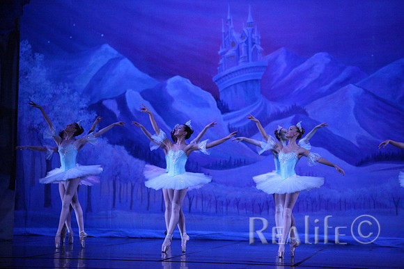 Sno2_4237