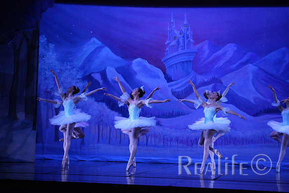Sno2_4239
