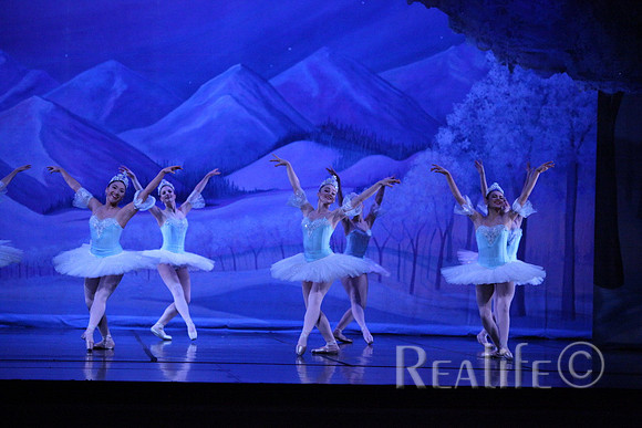 Sno2_4241