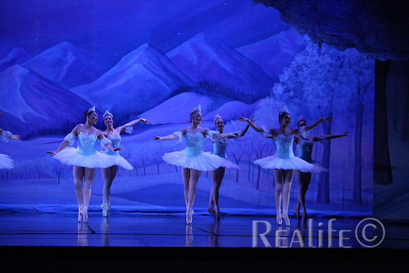 Sno2_4242