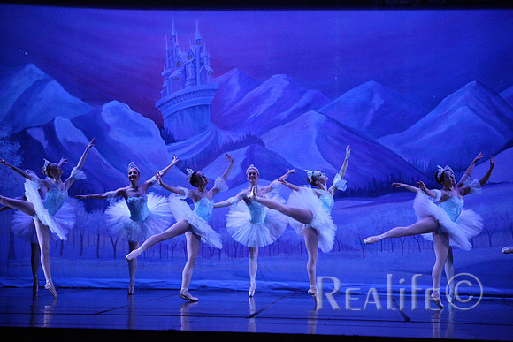 Sno2_4243