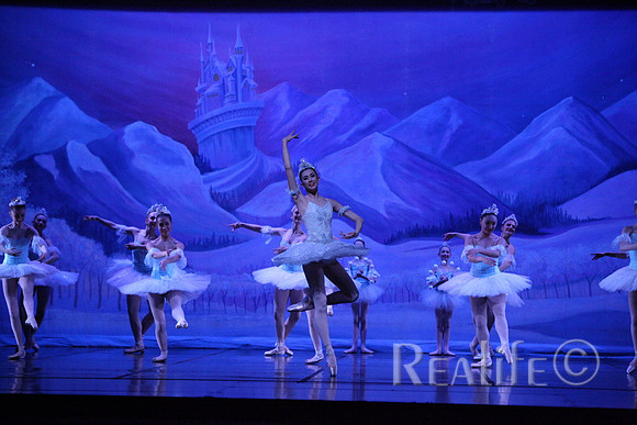 Sno2_4245