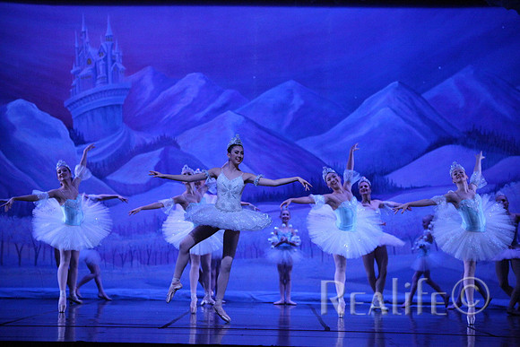 Sno2_4246