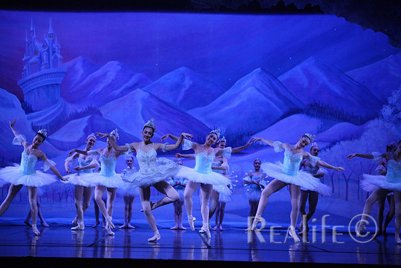 Sno2_4247