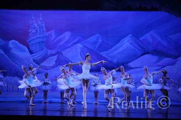 Sno2_4248