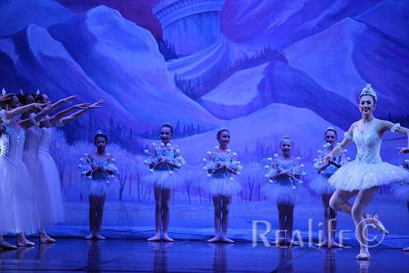 Sno2_4251