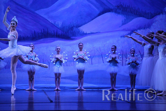 Sno2_4253