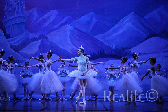 Sno2_4255
