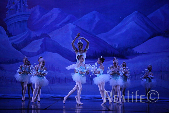 Sno2_4256