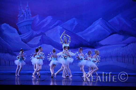 Sno2_4257