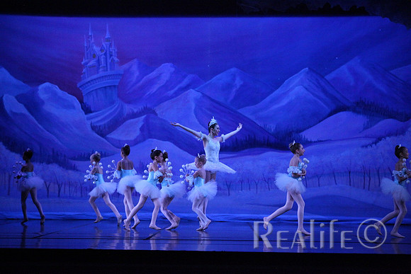 Sno2_4258