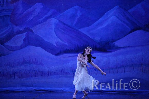 Sno2_4272
