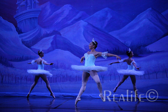 Sno2_4281