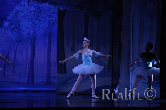 Sno2_4279