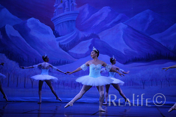 Sno2_4282