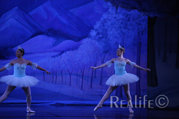 Sno2_4280