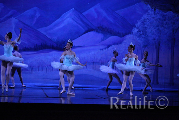 Sno2_4284