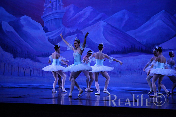 Sno2_4286