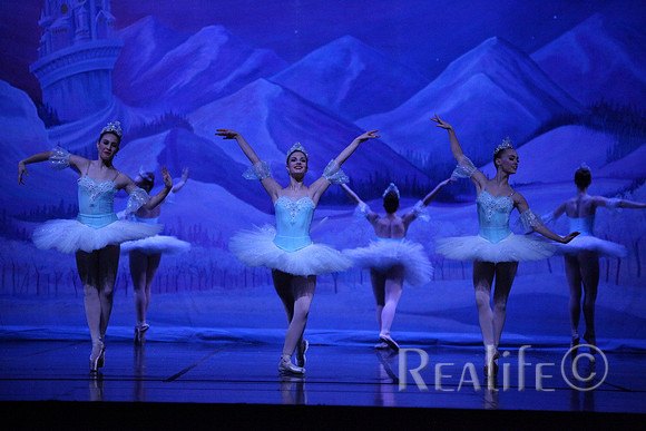 Sno2_4290