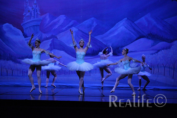 Sno2_4291